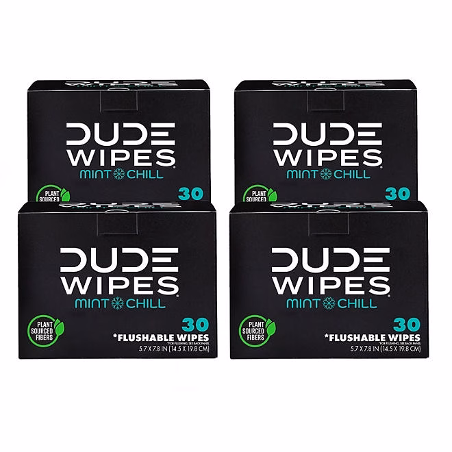DUDE WIPES XL On-the-Go Flushable Wipes, Mint Chill, 4 ct., 120 wipes 3