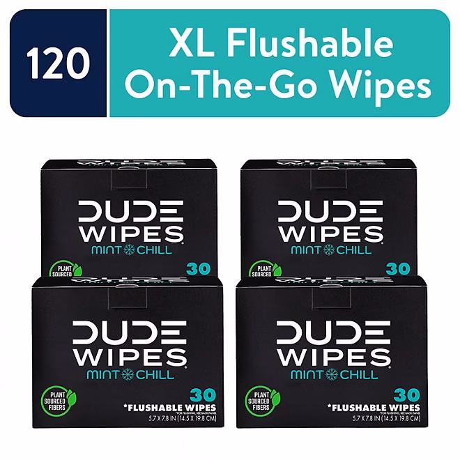 DUDE WIPES XL On-the-Go Flushable Wipes, Mint Chill, 4 ct., 120 wipes 4